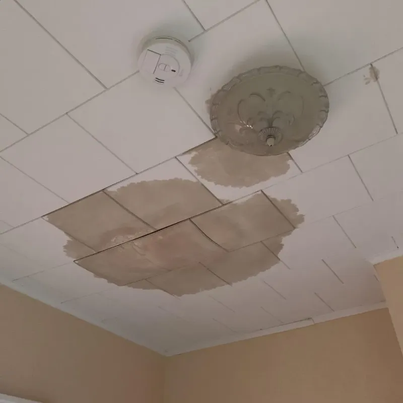 Ceiling Water Damage Repair in Robbinsville, NJ