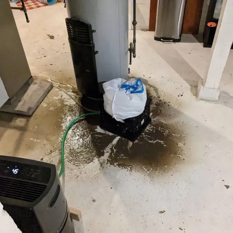 Sewage Backup Cleanup Service in Robbinsville, NJ